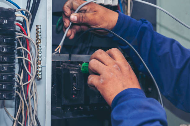 Best Ceiling Fan Installation Electrician  in Holly, MI